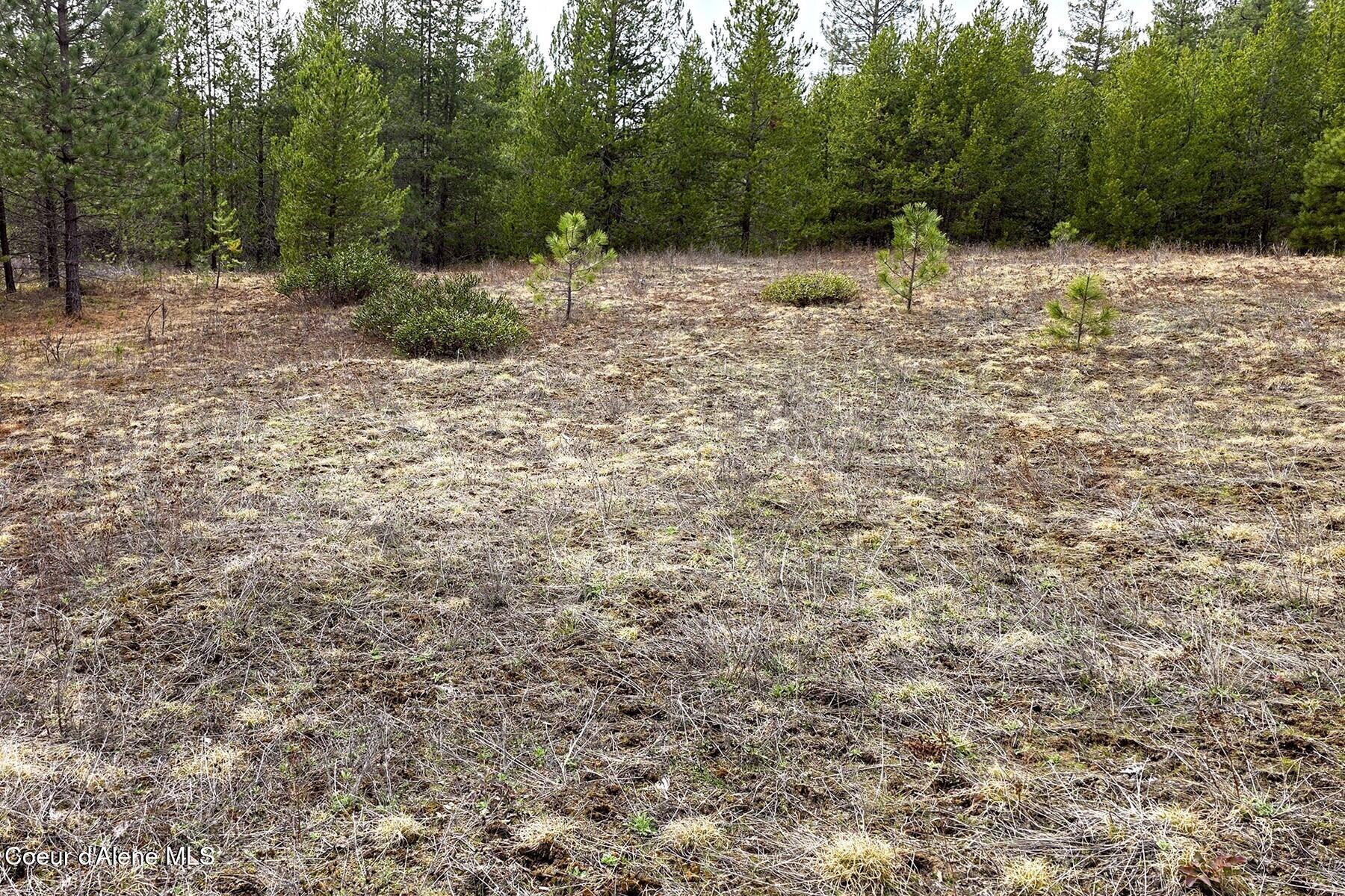 Nla Dusty Lane Naples, ID 83847 - Photo 13 of 21 Meadow North of Road