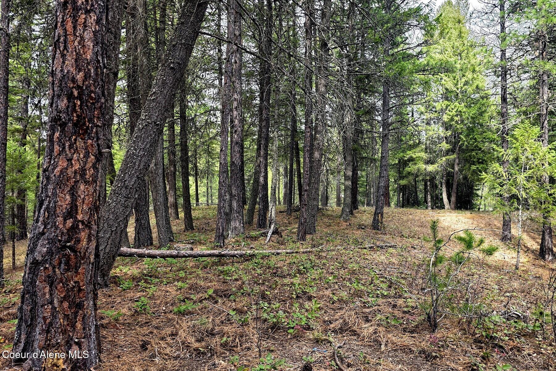 Nla Dusty Lane Naples, ID 83847 - Photo 4 of 21 Western Boundary
