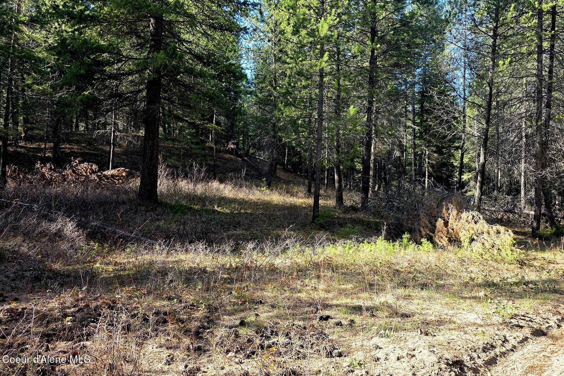 Nla Dusty Lane Naples, ID 83847 - Photo 5 of 21 Gentle slope to upper bench