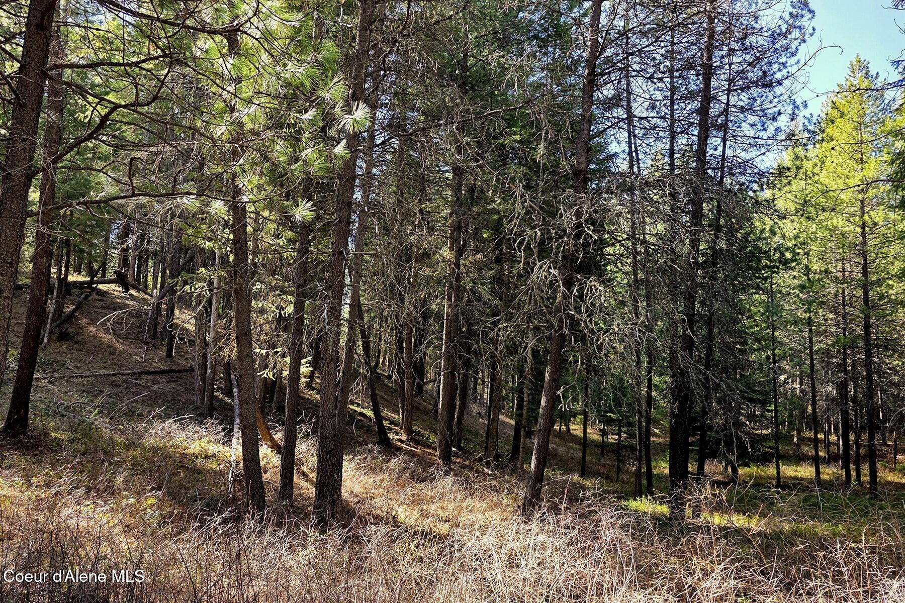 Nla Dusty Lane Naples, ID 83847 - Photo 6 of 21 Rising to higher ground