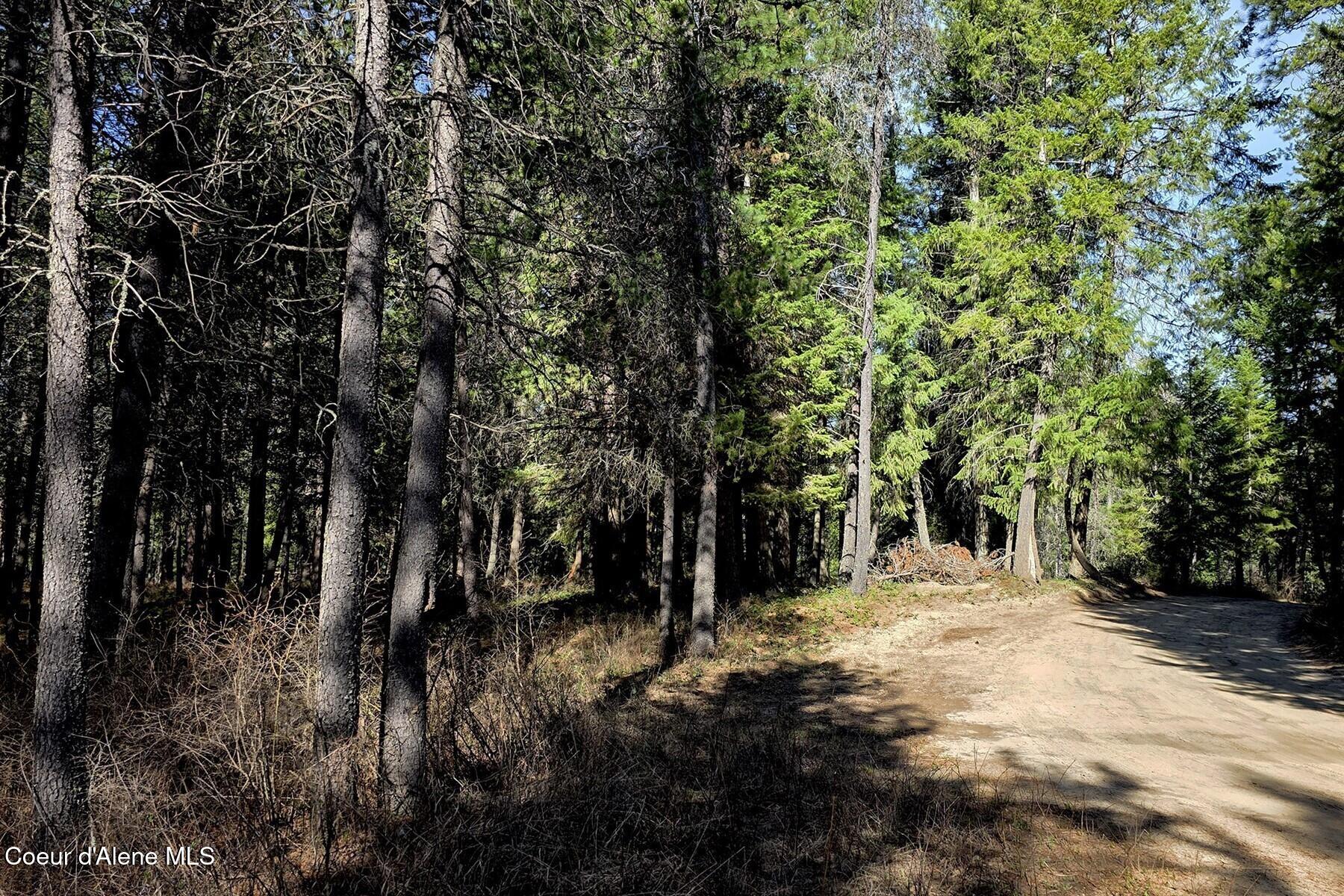 Nla Dusty Lane Naples, ID 83847 - Photo 7 of 21 Dusty Lane