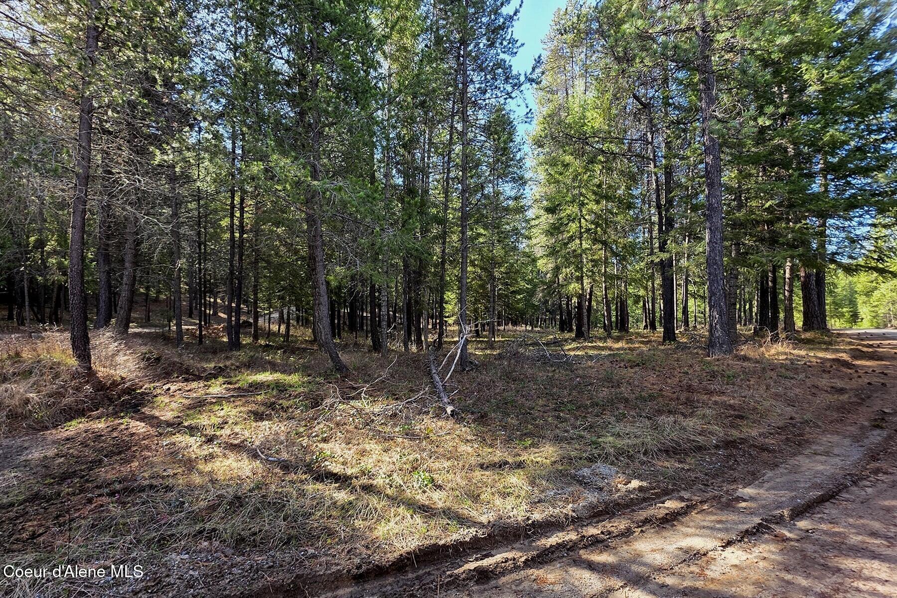 Nla Dusty Lane Naples, ID 83847 - Photo 9 of 21 Narrow Upper Peninsula