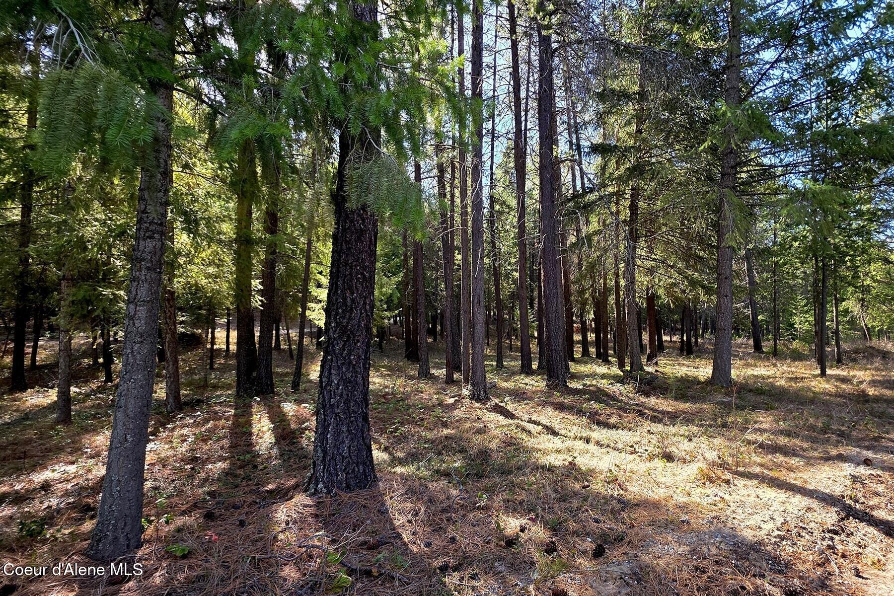 Nla Dusty Lane Naples, ID 83847 - Photo 10 of 21 Looking South
