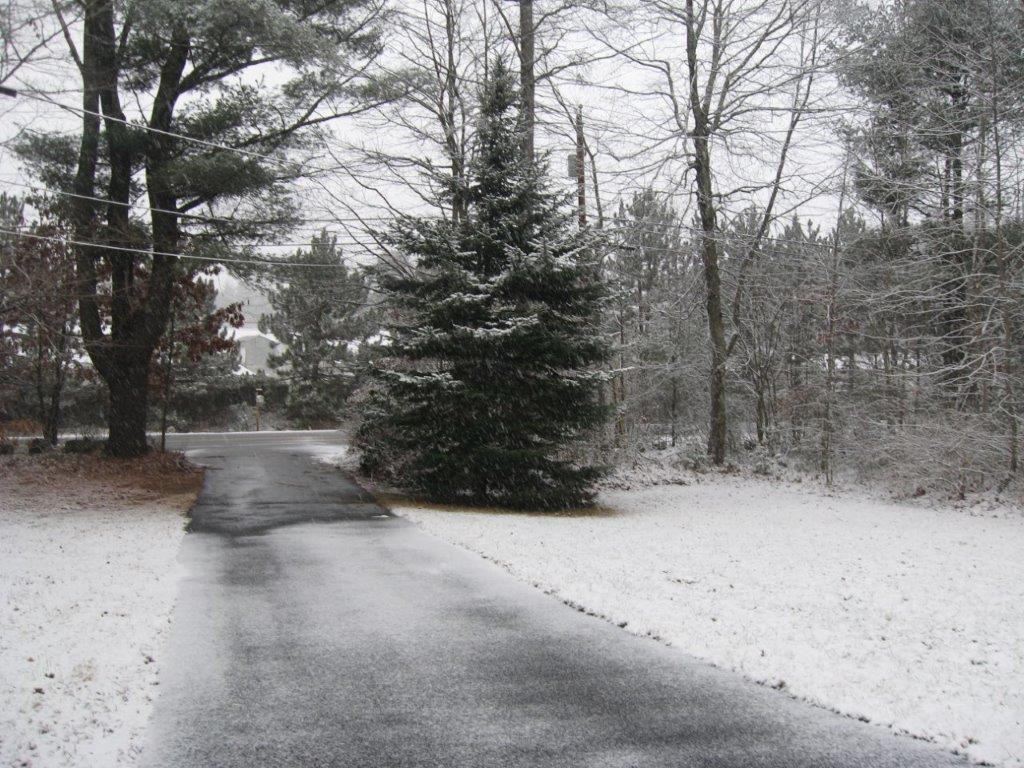 50 Back Road Alfred, ME 04002 - Photo 28 of 42 27. Back - Driveway