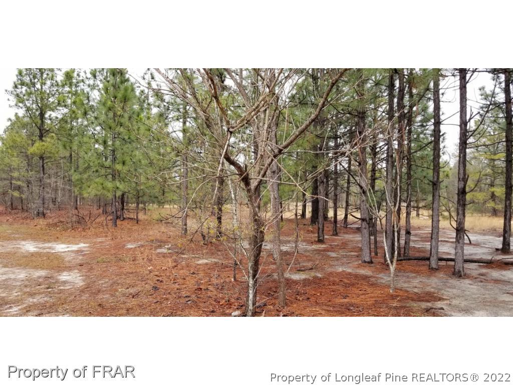 Ellis Jackson Road Fayetteville, NC 28306 - Photo 1 of 5 Gallery Image 1