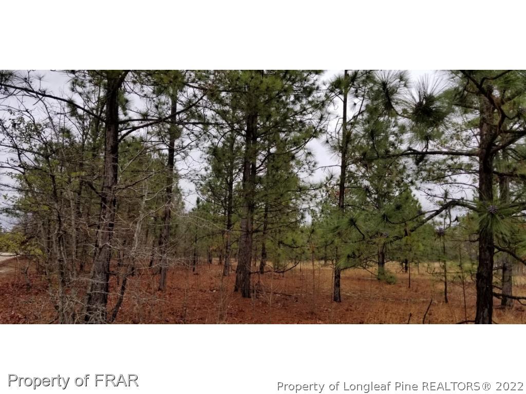 Ellis Jackson Road Fayetteville, NC 28306 - Photo 3 of 5 Gallery Image 3