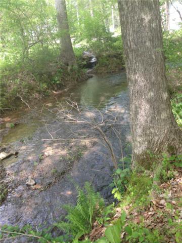 3369 North Mt Pleasant Road Greenbrier, TN 37073 - Photo 2 of 20 Backs up to a creek