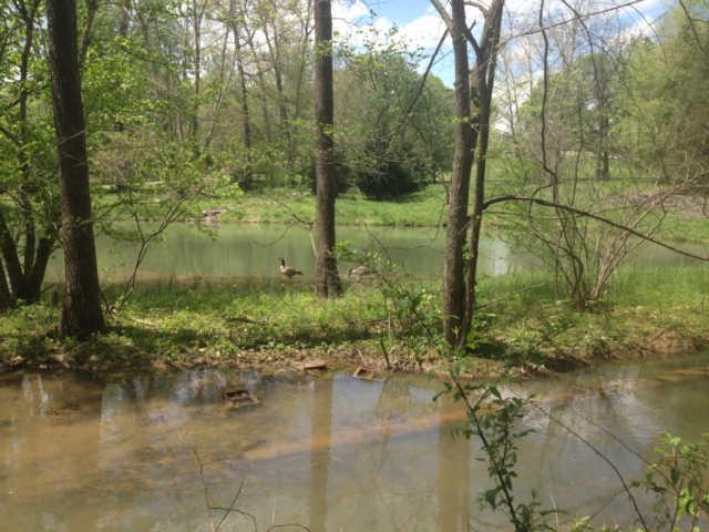 3369 North Mt Pleasant Road Greenbrier, TN 37073 - Photo 12 of 20 Neighbors pond and creek at back of property