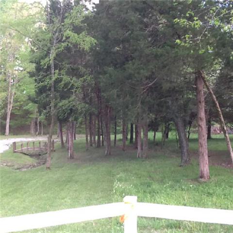 3369 North Mt Pleasant Road Greenbrier, TN 37073 - Photo 15 of 20 Front left side of lot facing to back. Bridge is on this property