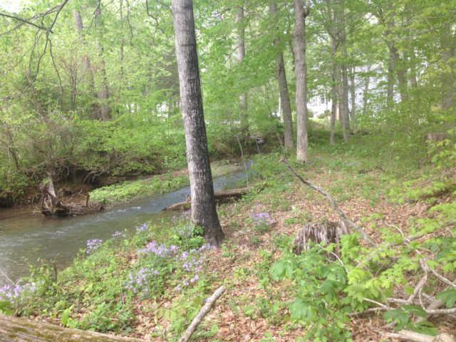 3369 North Mt Pleasant Road Greenbrier, TN 37073 - Photo 16 of 20 Creek along back of property