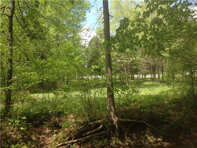 3369 North Mt Pleasant Road Greenbrier, TN 37073 - Photo 17 of 20 Nature all around !
