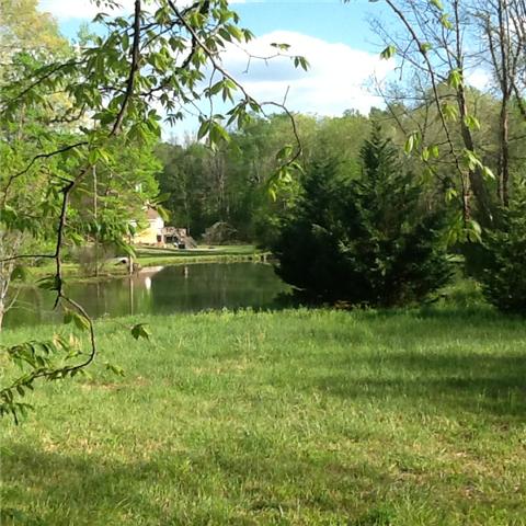 3369 North Mt Pleasant Road Greenbrier, TN 37073 - Photo 19 of 20 Look at this view!