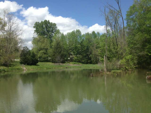 3369 North Mt Pleasant Road Greenbrier, TN 37073 - Photo 3 of 20 Beautiful pond at the back of this property that belongs to neighbor