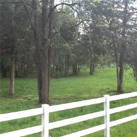 3369 North Mt Pleasant Road Greenbrier, TN 37073 - Photo 5 of 20 Lots of trees on this property