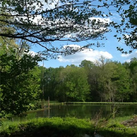 3369 North Mt Pleasant Road Greenbrier, TN 37073 - Photo 6 of 20 Another view of the neighboring pond