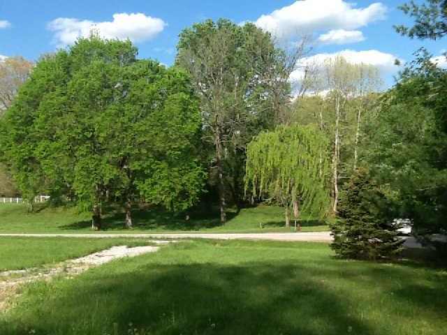3369 North Mt Pleasant Road Greenbrier, TN 37073 - Photo 7 of 20 More views of treed lot