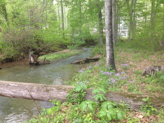 3369 North Mt Pleasant Road Greenbrier, TN 37073 - Photo 9 of 20 Another view of creek
