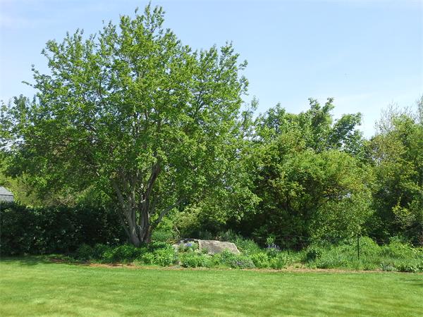 56 Clover Hill Road Northbridge, MA 01588 - Photo 21 of 22 Gallery Image 21