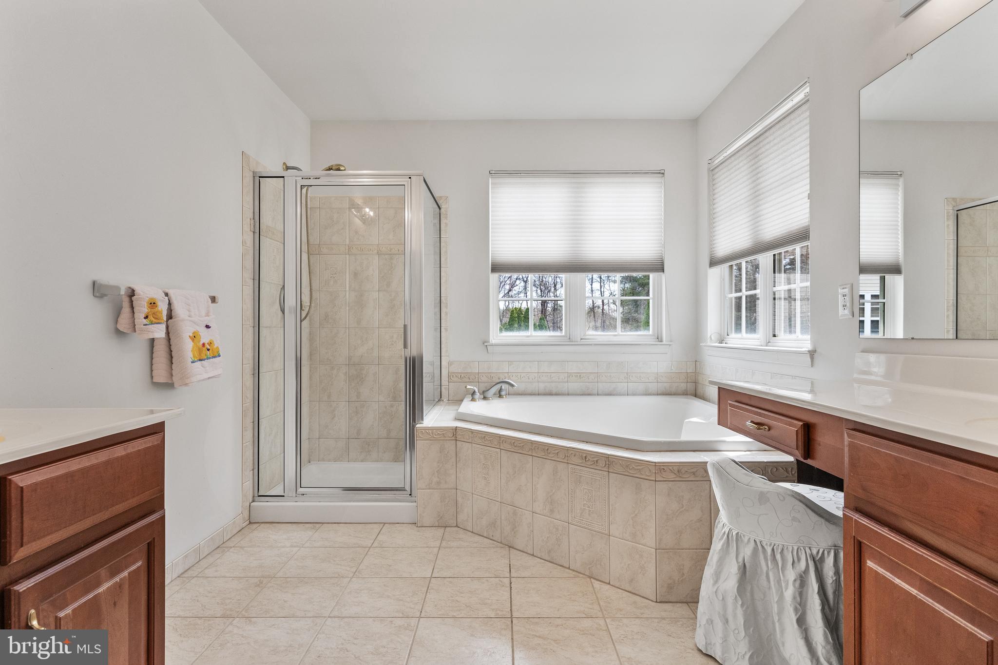 49 Cranberry Lane Delran, NJ 08075 - Photo 25 of 33 a spacious bathroom with a tub sink and mirror