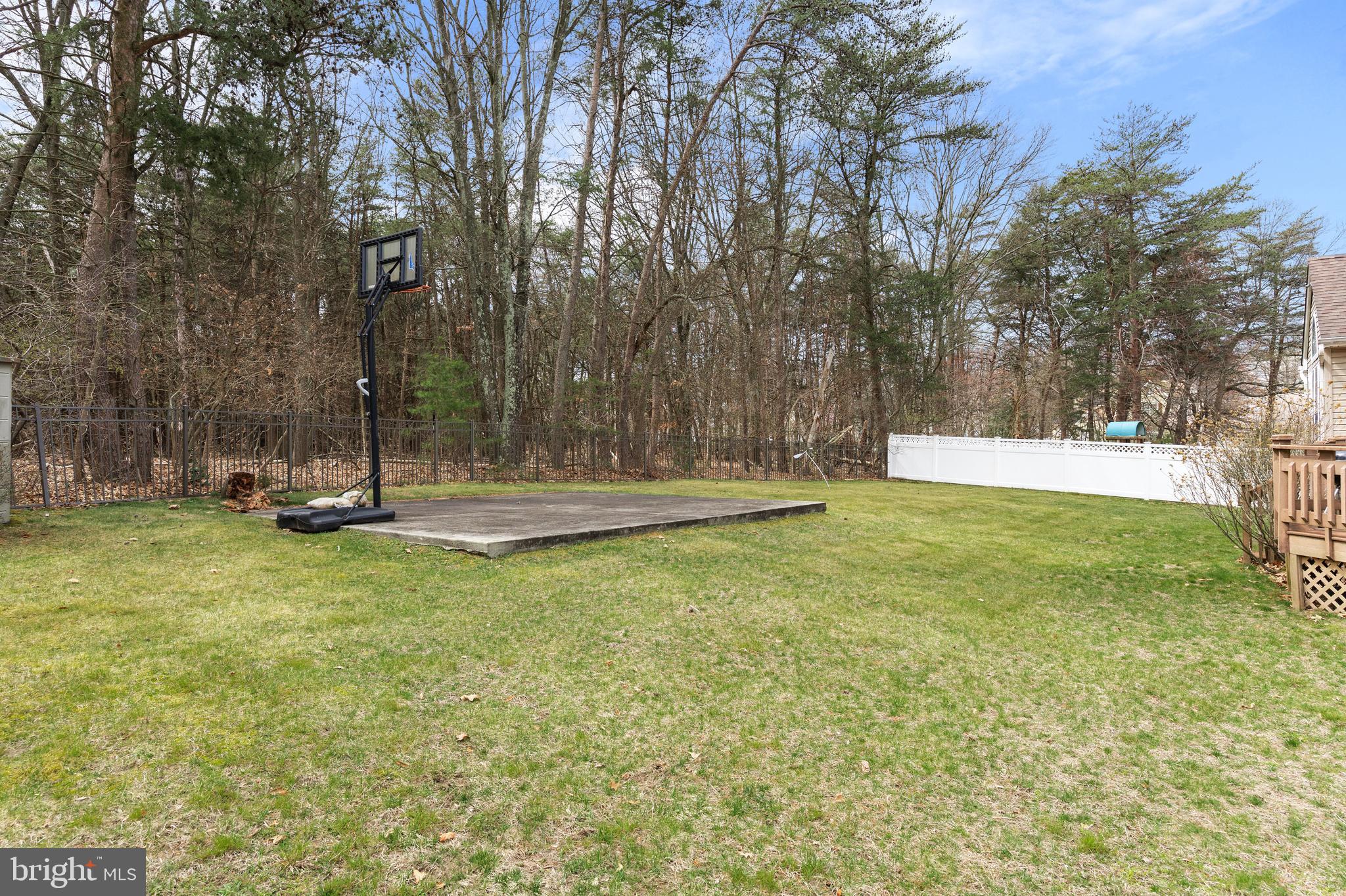 49 Cranberry Lane Delran, NJ 08075 - Photo 32 of 33 a view of a tree in a yard
