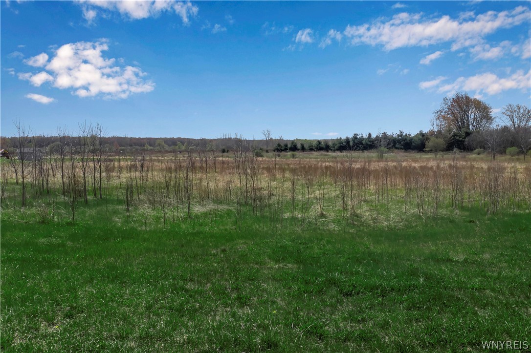 Vl Fargo Road Corfu, NY 14036 - Photo 1 of 1