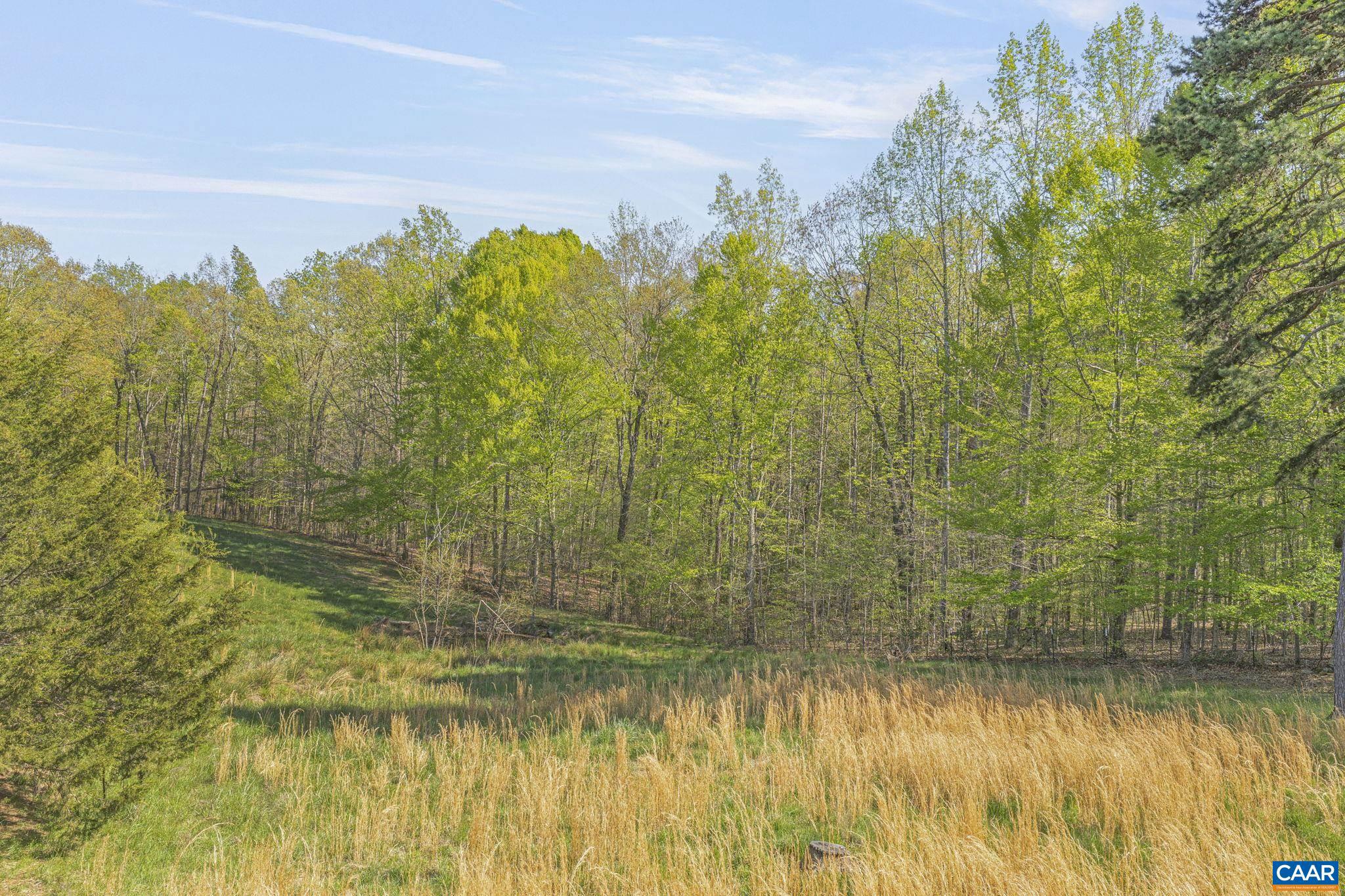 1130 Race Ground Road Rochelle, VA 22738 - Photo 54 of 58 a view of a lake with a yard