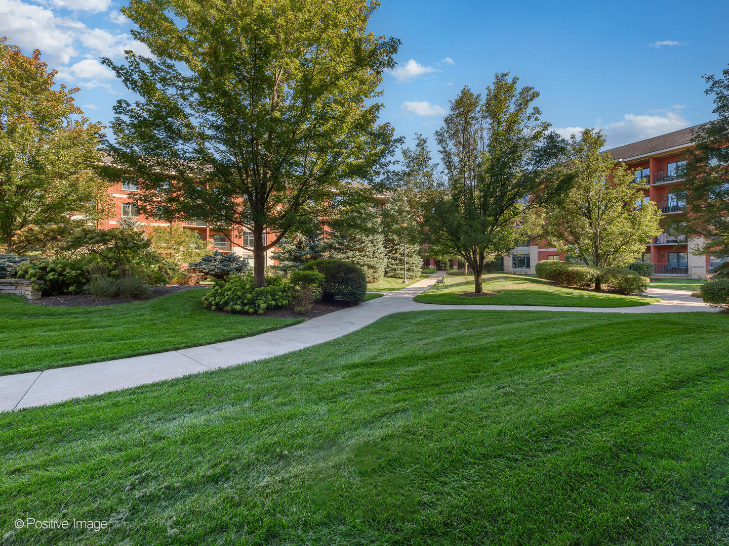 855 East 22nd Street, Unit 217 Lombard, IL 60148 - Photo 25 of 27 a huge green field with lots of trees