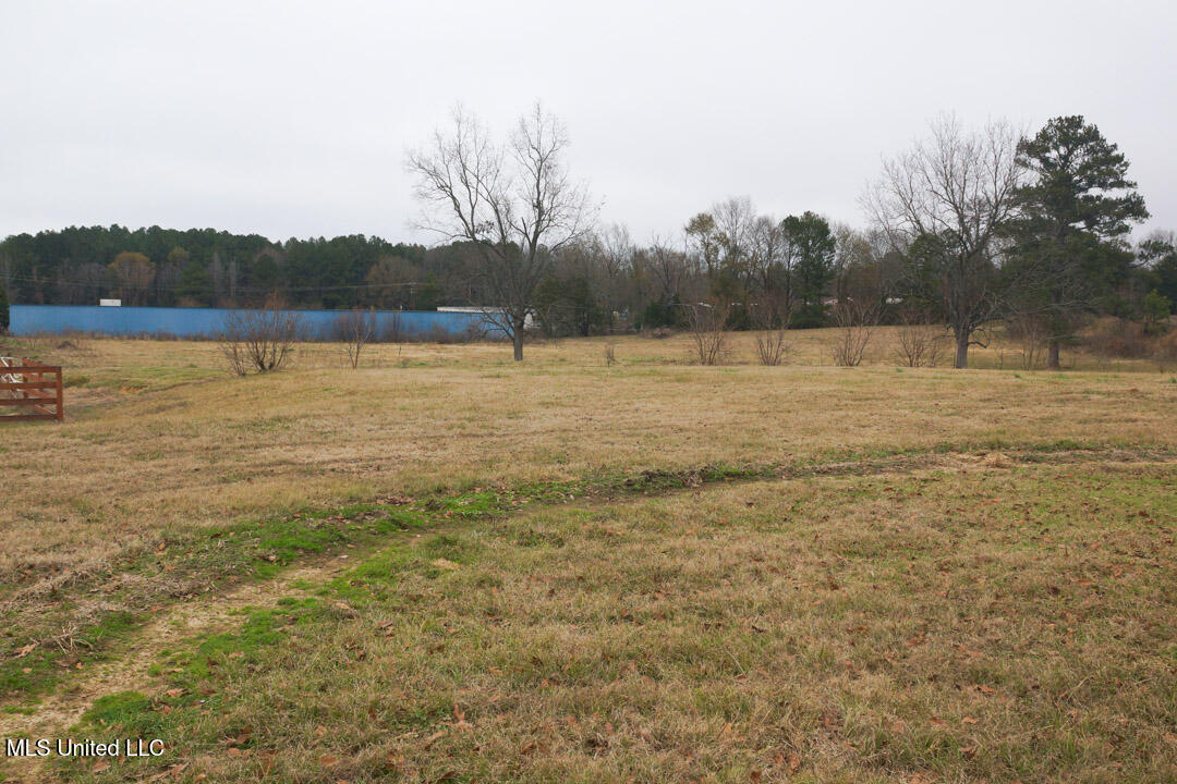 3767 Springridge Road Raymond, MS 39154 - Photo 120 of 134 House Photos 117