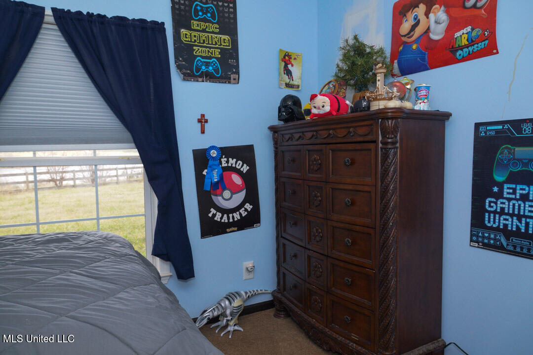 3767 Springridge Road Raymond, MS 39154 - Photo 53 of 134 House Photos 050