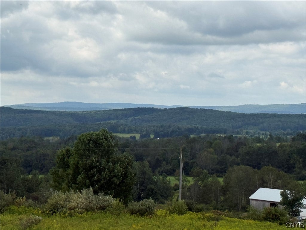 2755 Center Road McGraw, NY 13101 - Photo 33 of 47 Gallery Image 33