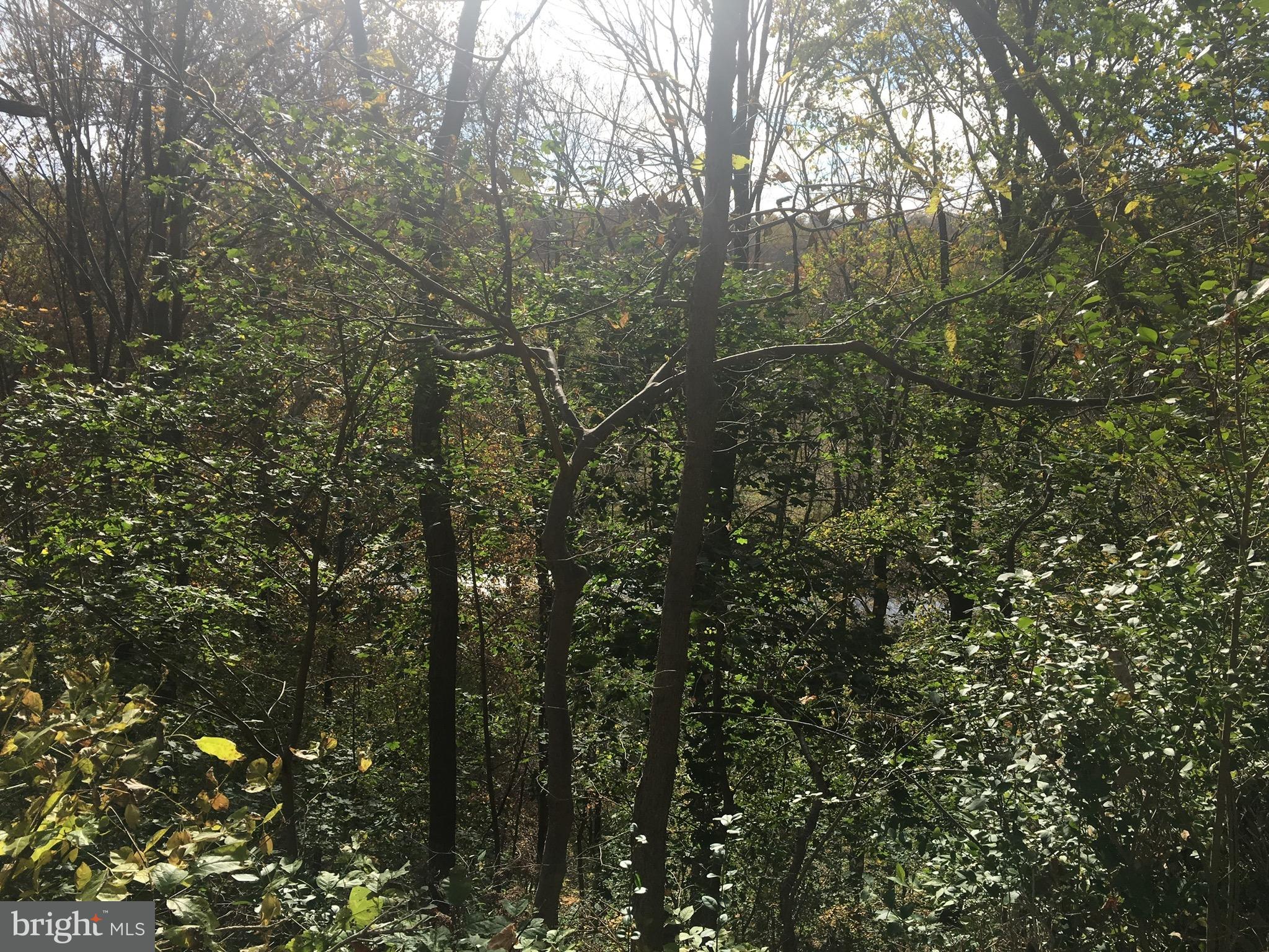974 Gypsy Hill Road Lancaster, PA 17602 - Photo 14 of 17 Wooded views
