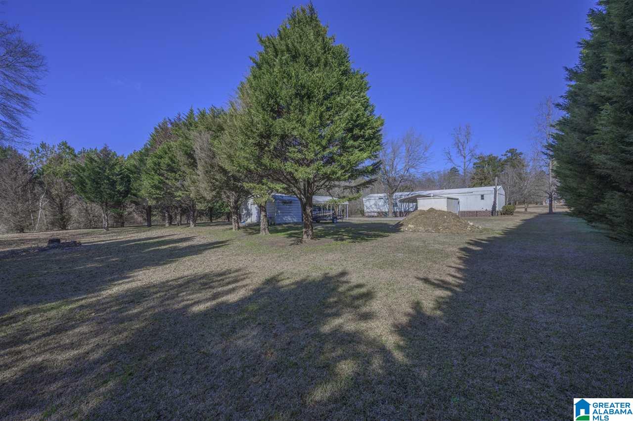 270 Spearman Street Wilsonville, AL 35186 - Photo 6 of 21