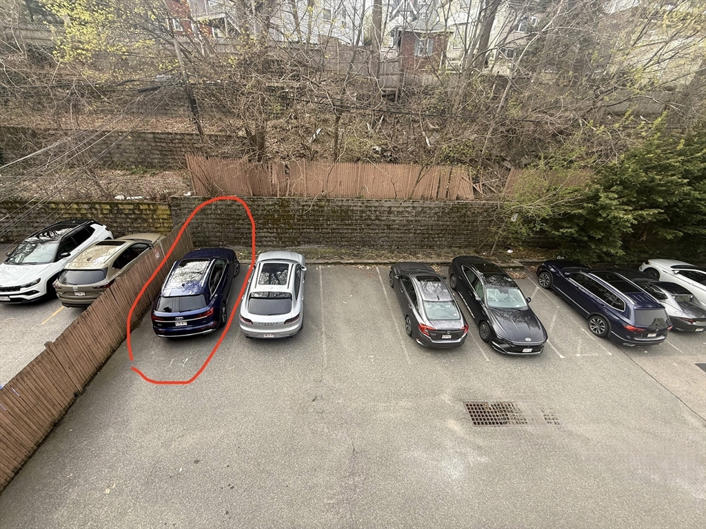 113 Pleasant Street, Unit 6 Boston, MA 02125 - Photo 18 of 22