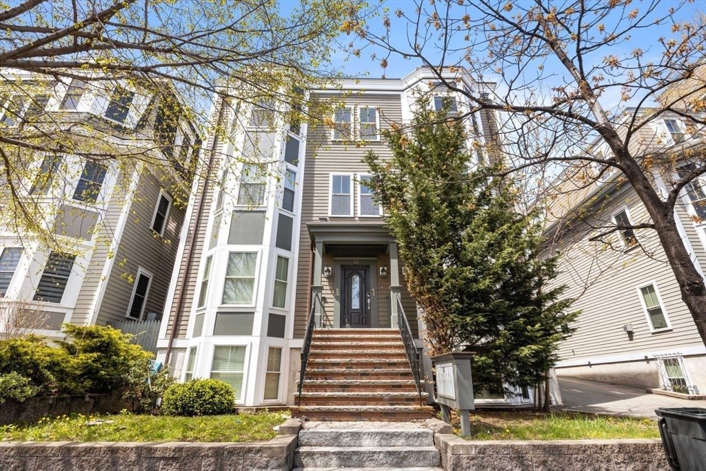 113 Pleasant Street, Unit 6 Boston, MA 02125 - Photo 20 of 22