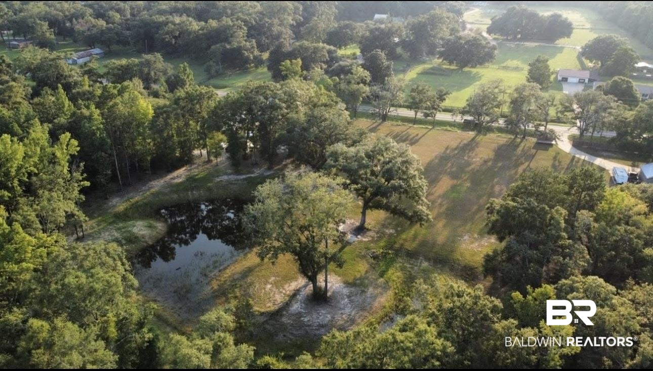 286 Dead Lake Road Creola, AL 36525 - Photo 1 of 5 Aerial overview of property's location with a large body of water