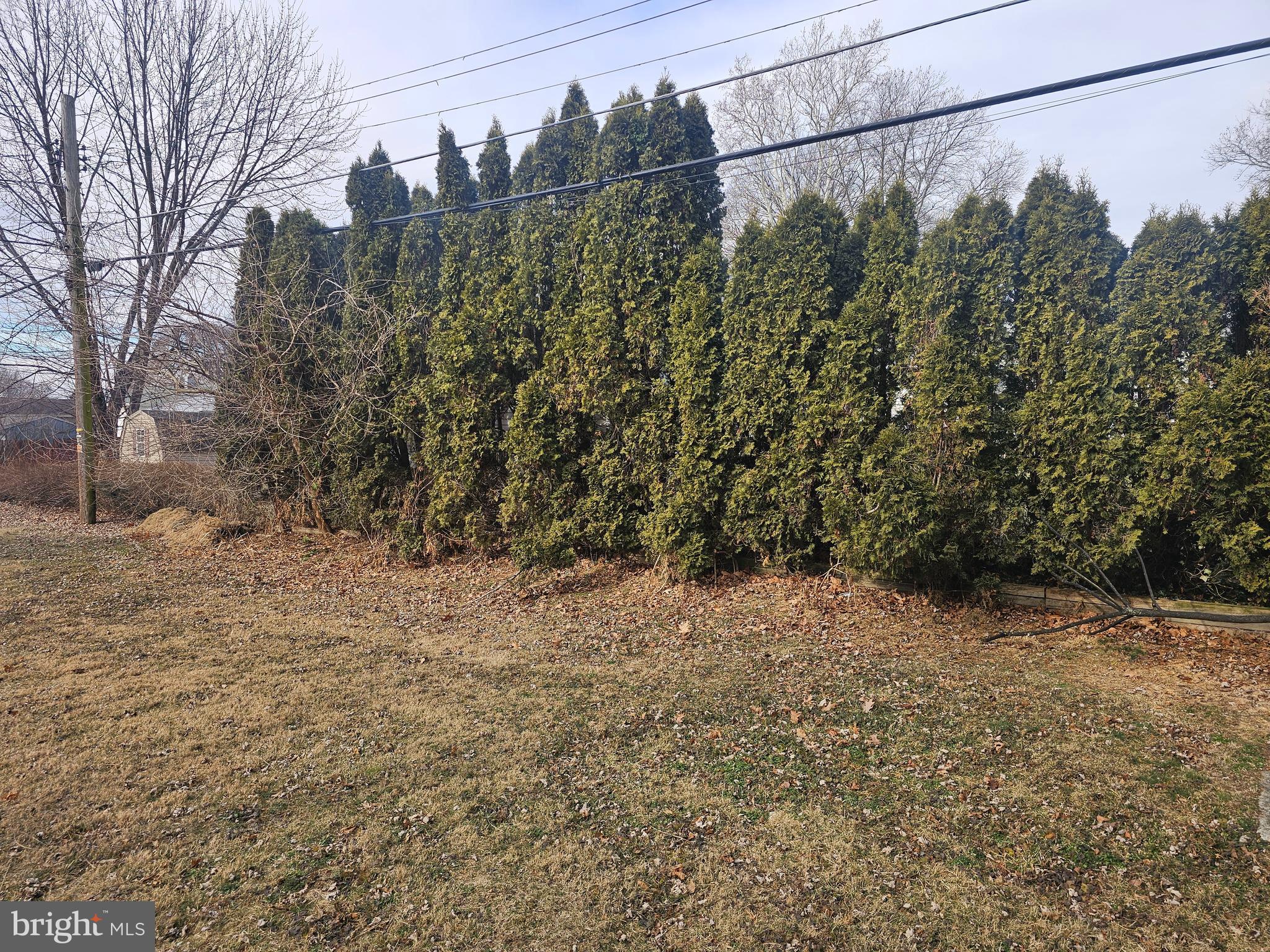 407 East Elm Street Lebanon, PA 17042 - Photo 15 of 16 a view of a yard