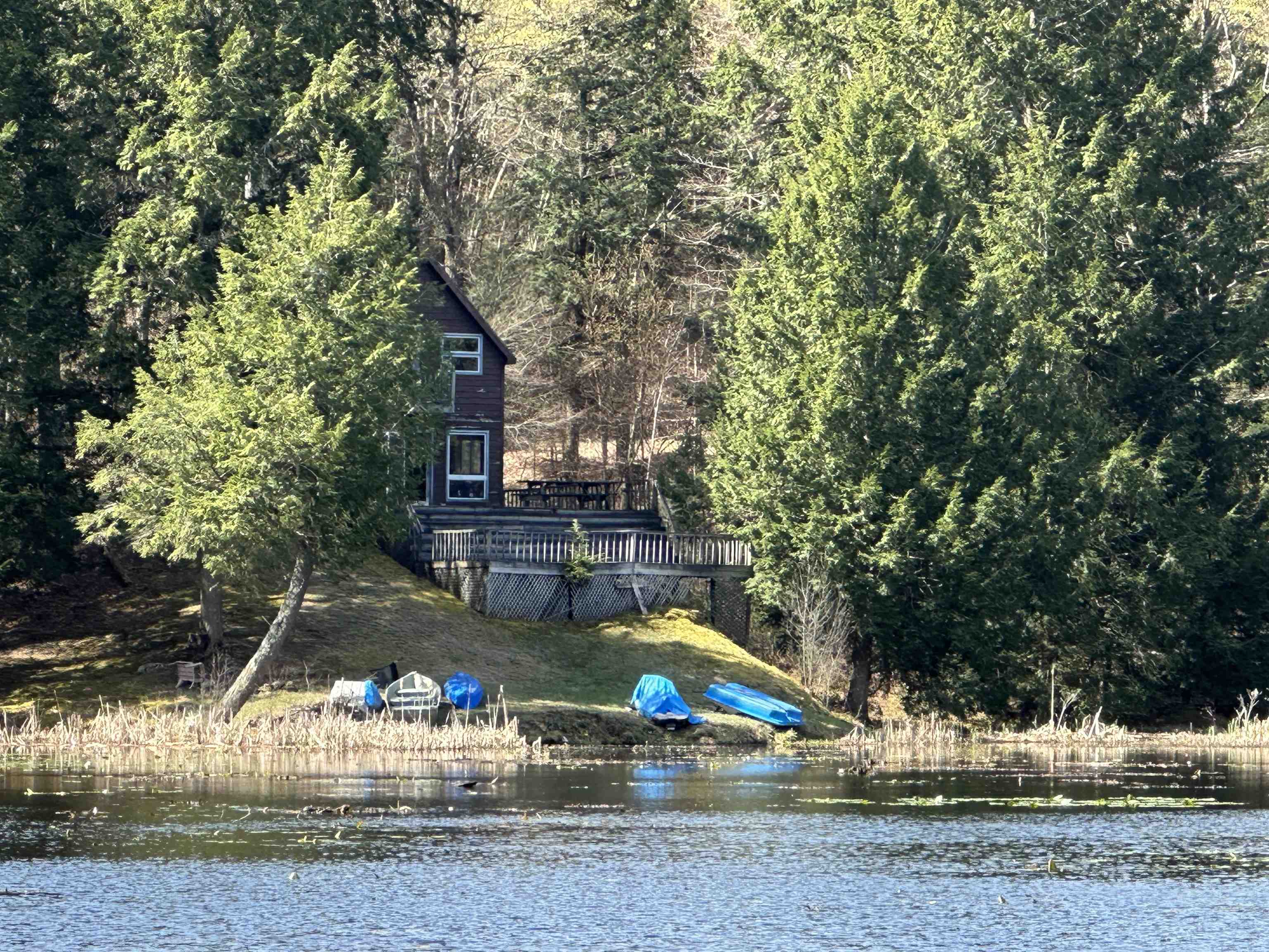 603 Anderson Drive Hubbardton, VT 05743 - Photo 2 of 60