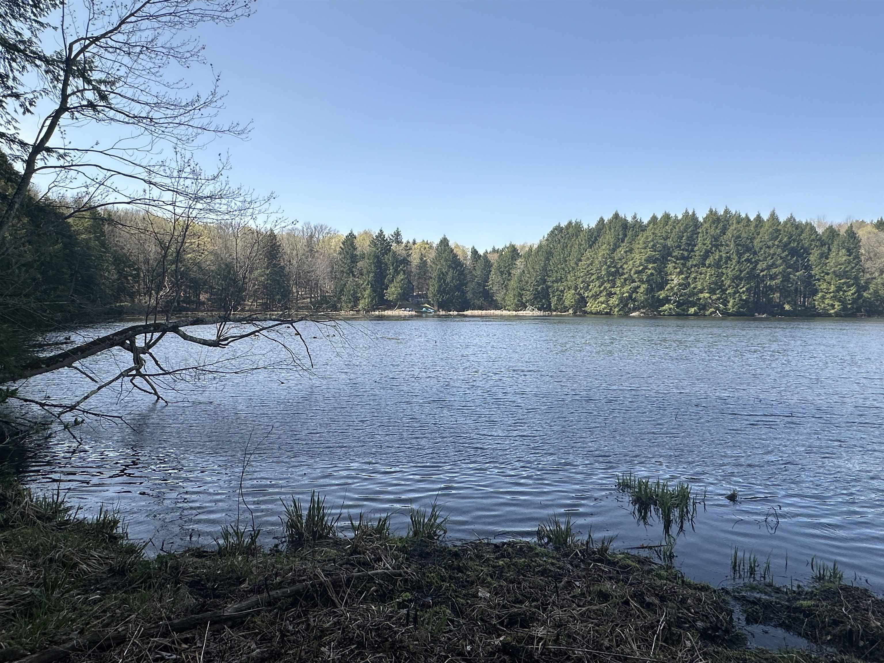 603 Anderson Drive Hubbardton, VT 05743 - Photo 26 of 60