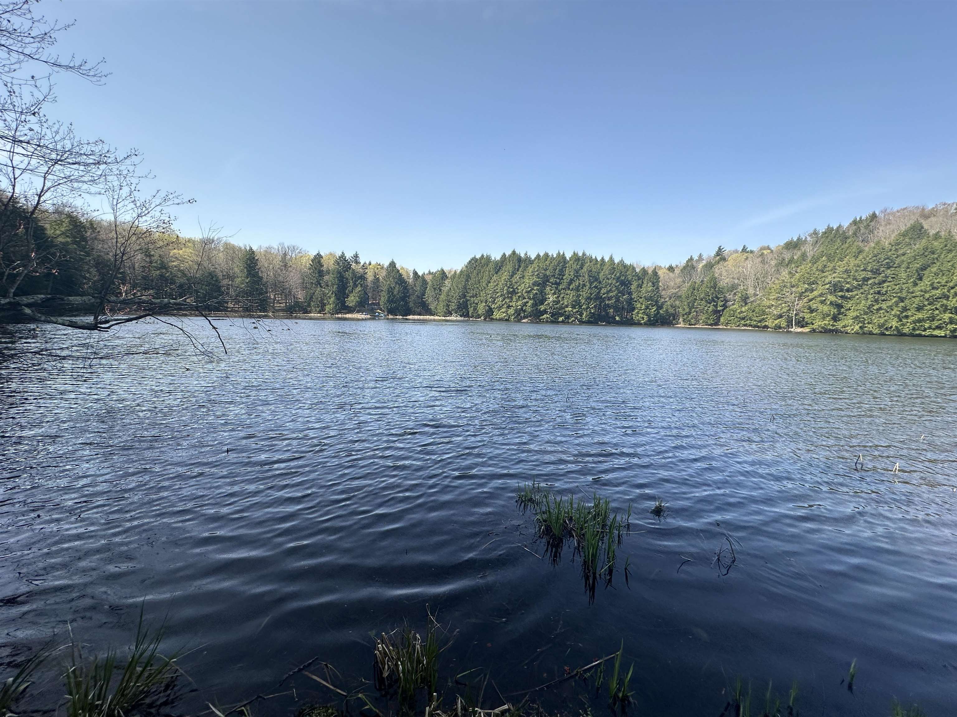 603 Anderson Drive Hubbardton, VT 05743 - Photo 27 of 60