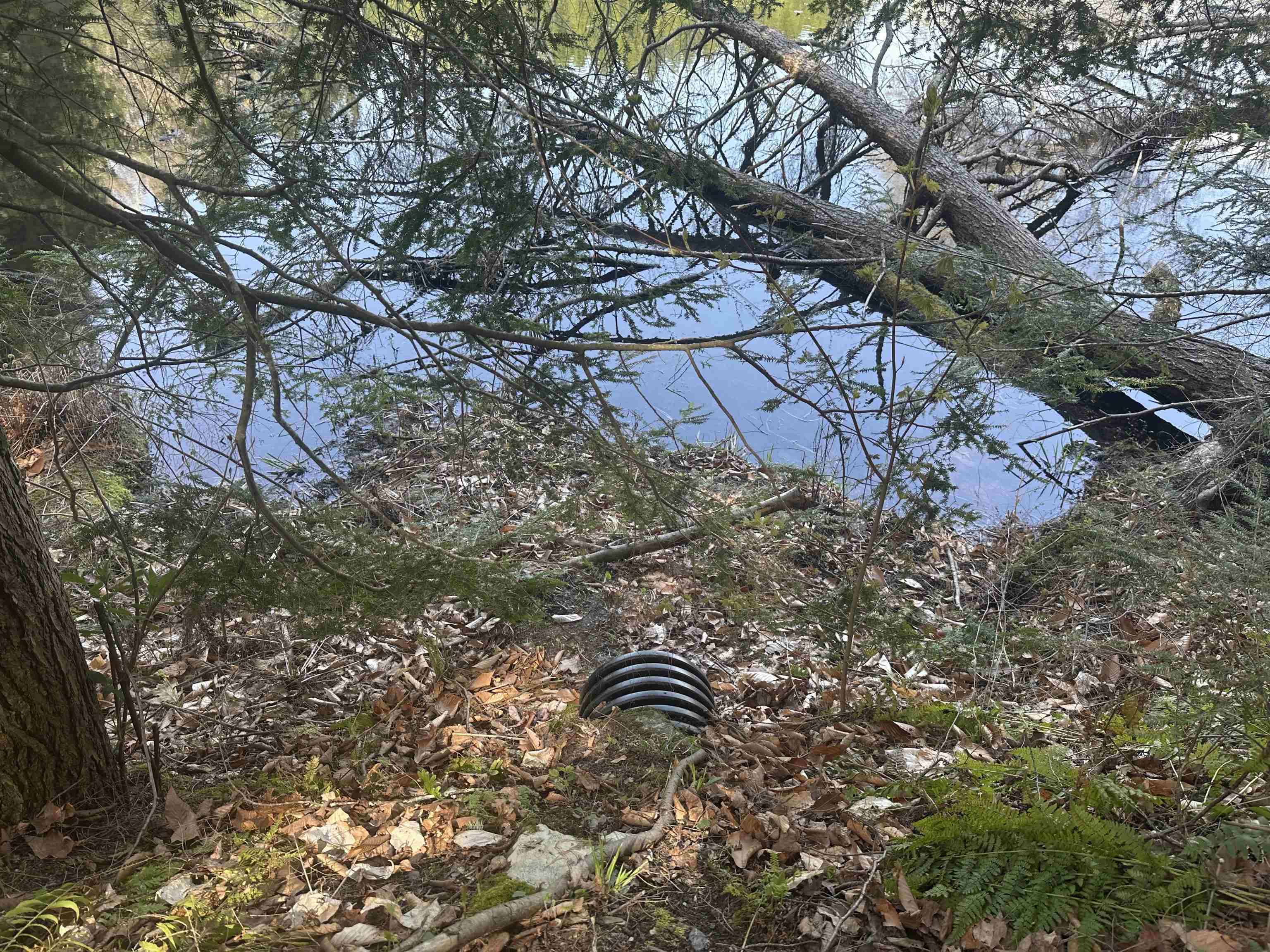 603 Anderson Drive Hubbardton, VT 05743 - Photo 28 of 60