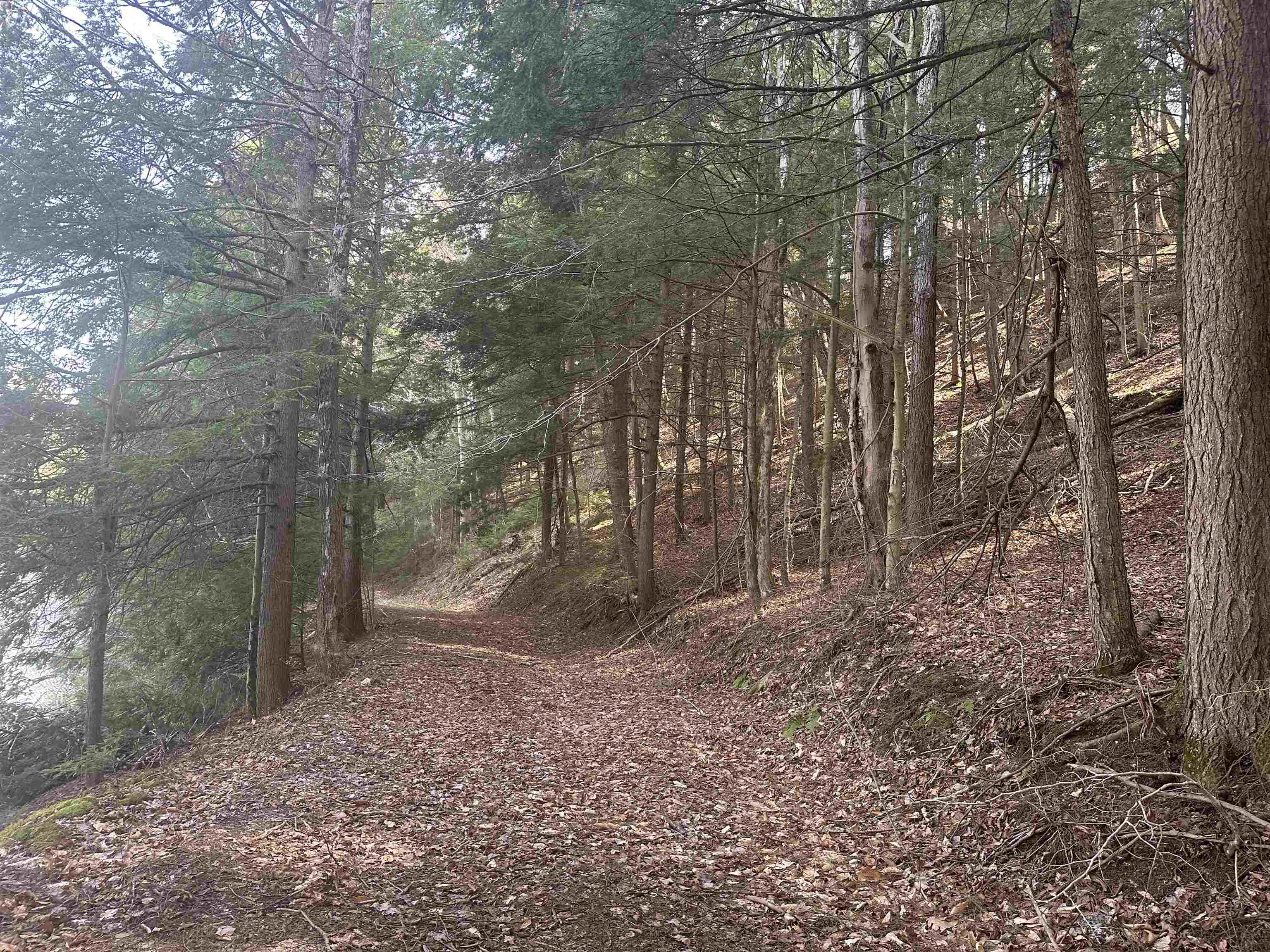 603 Anderson Drive Hubbardton, VT 05743 - Photo 31 of 60