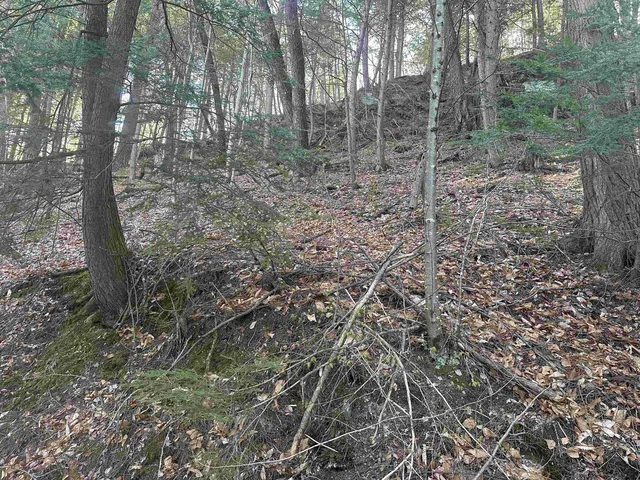 $750,000 | 603 Anderson Drive, Hubbardton, VT 05743