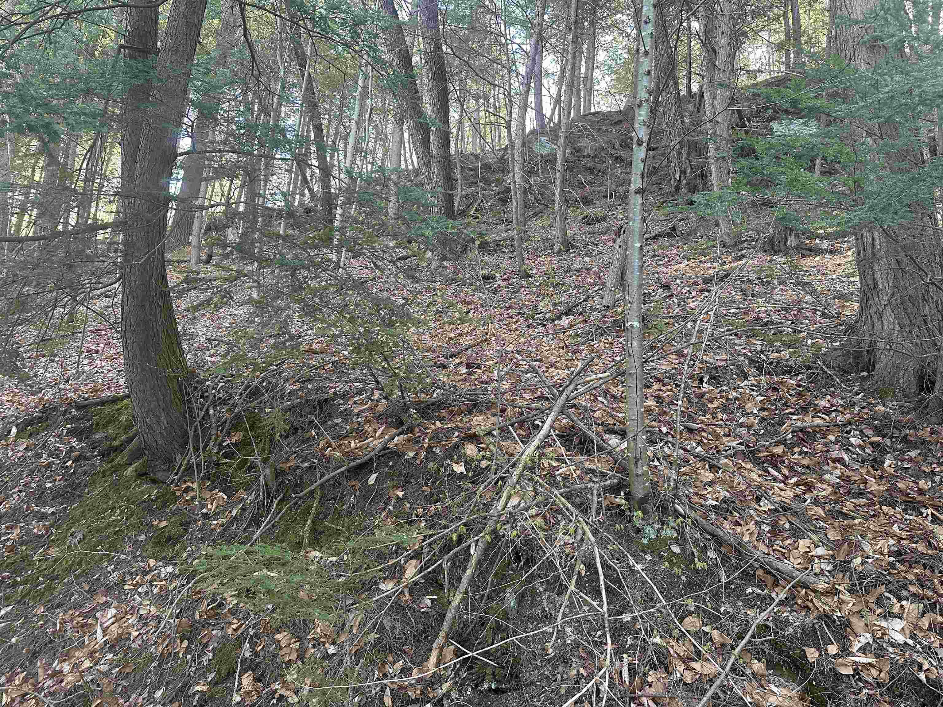 603 Anderson Drive Hubbardton, VT 05743 - Photo 33 of 60