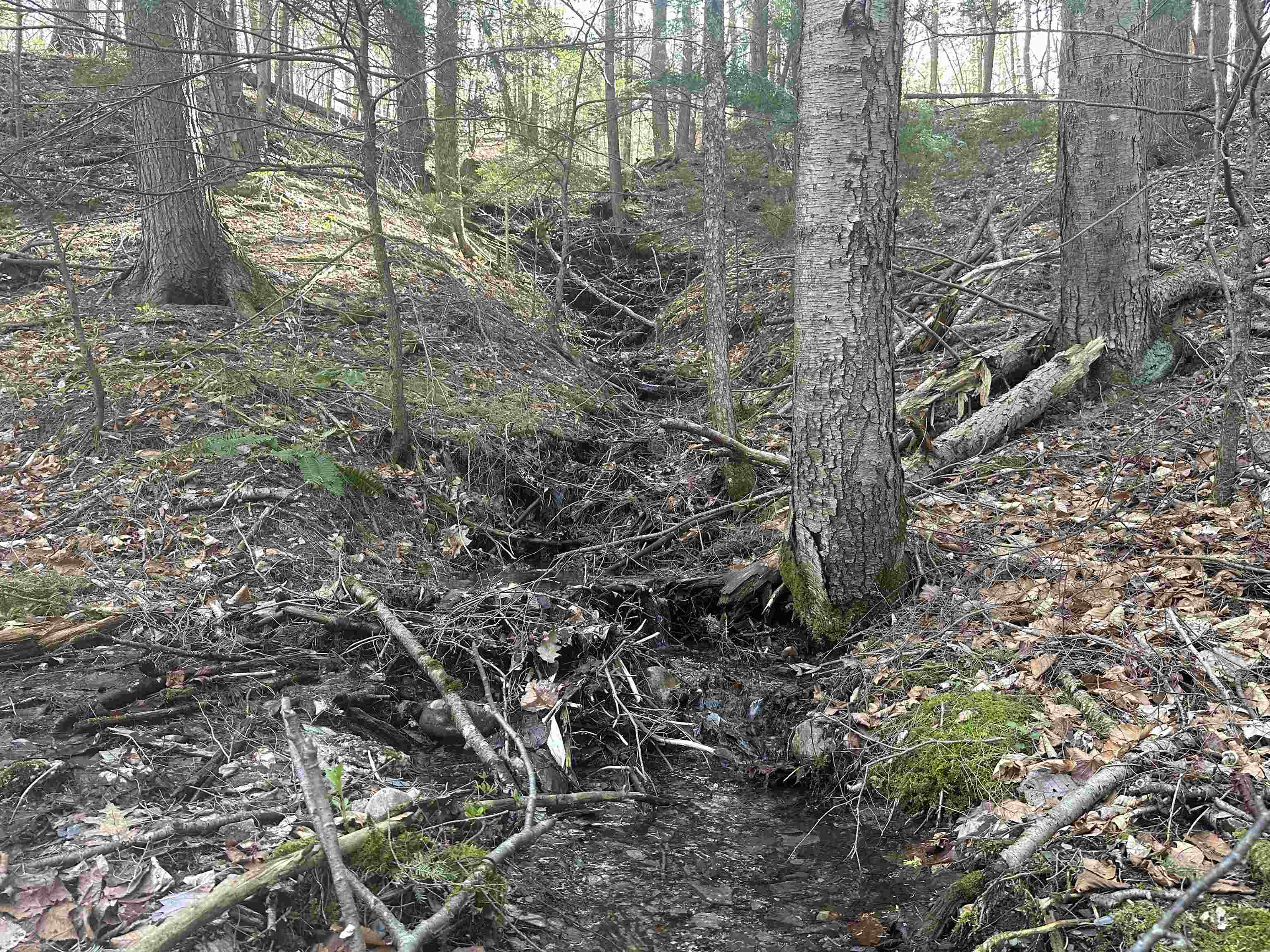 603 Anderson Drive Hubbardton, VT 05743 - Photo 35 of 60