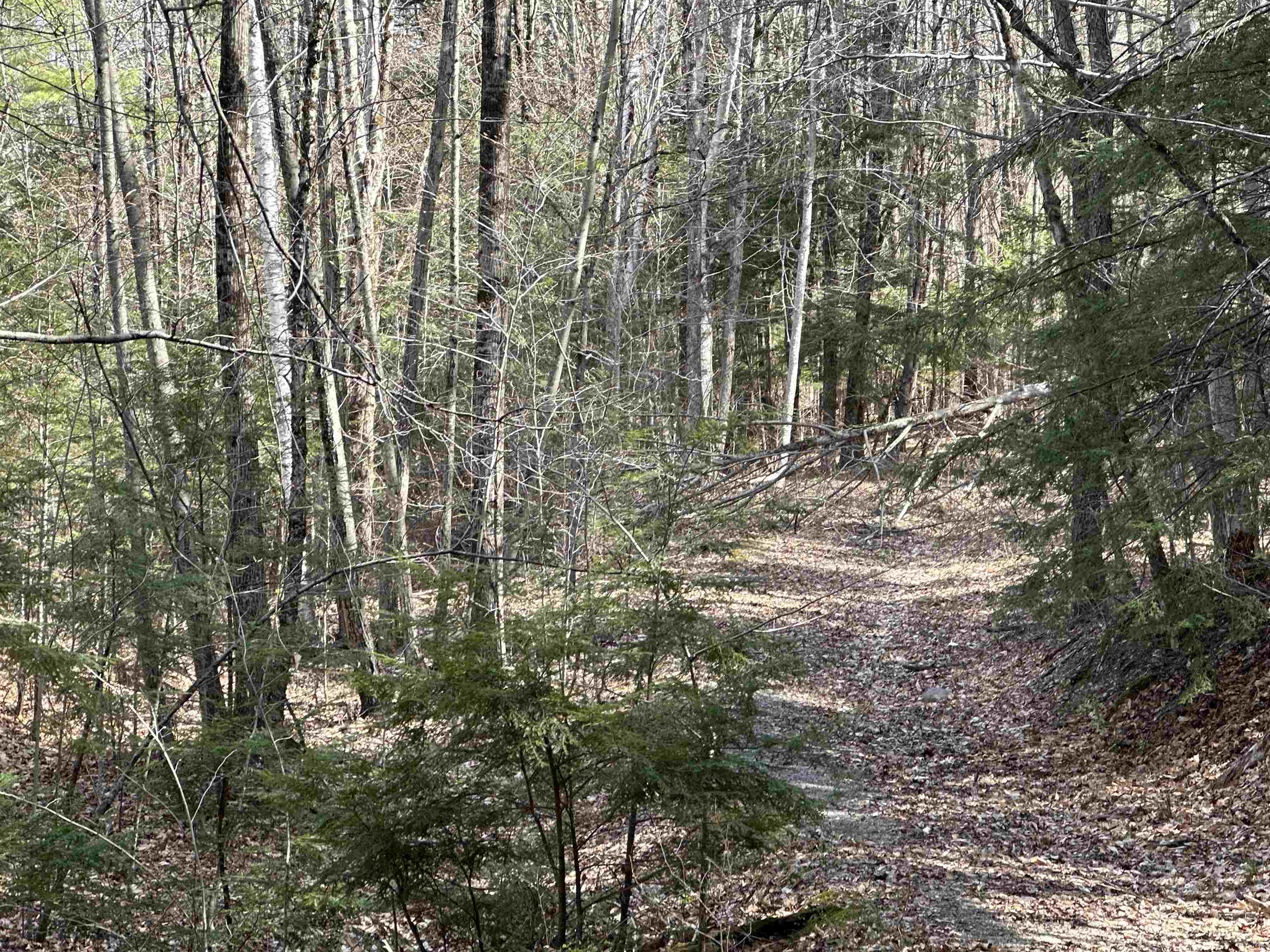 603 Anderson Drive Hubbardton, VT 05743 - Photo 36 of 60