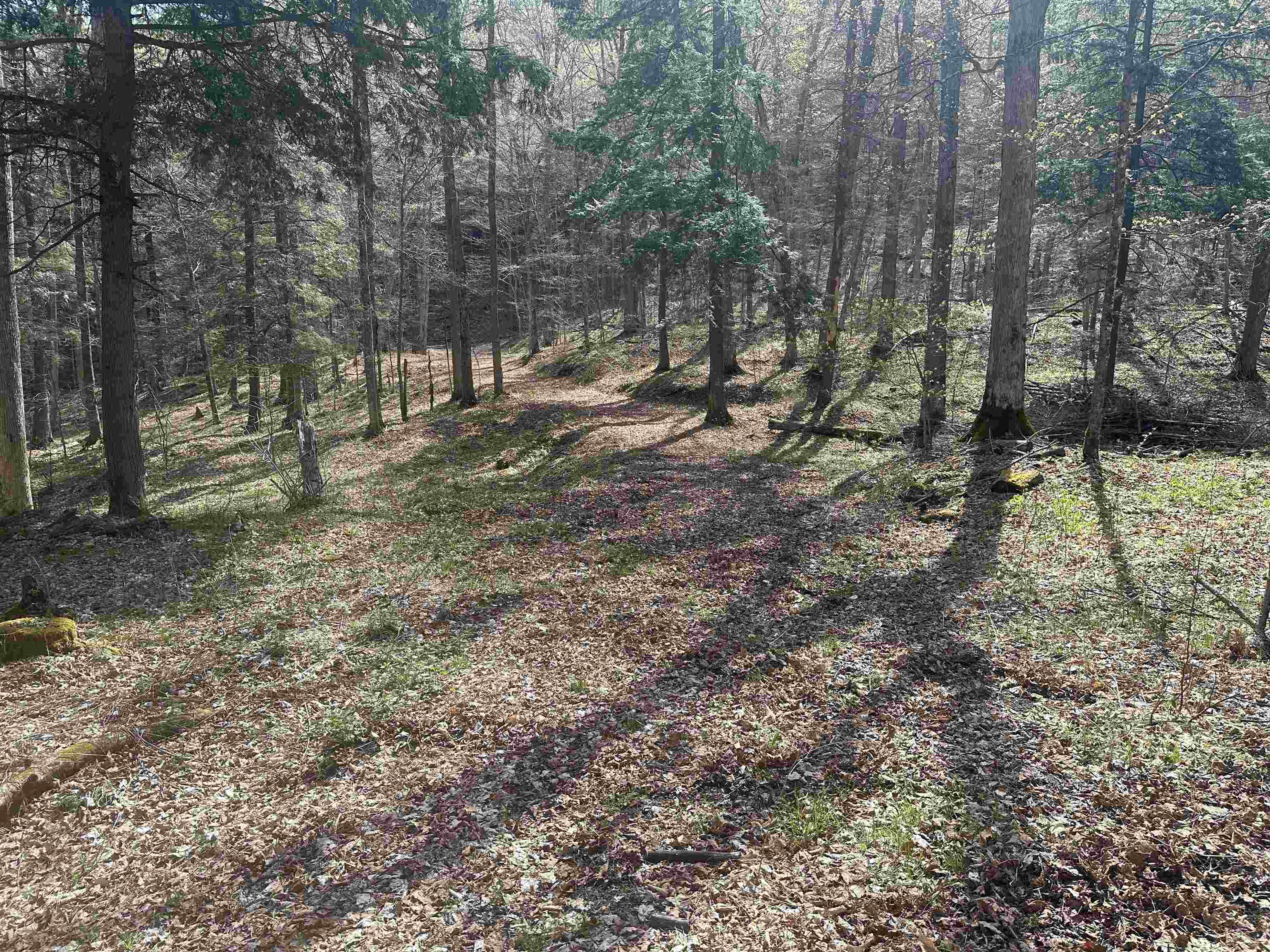 603 Anderson Drive Hubbardton, VT 05743 - Photo 37 of 60