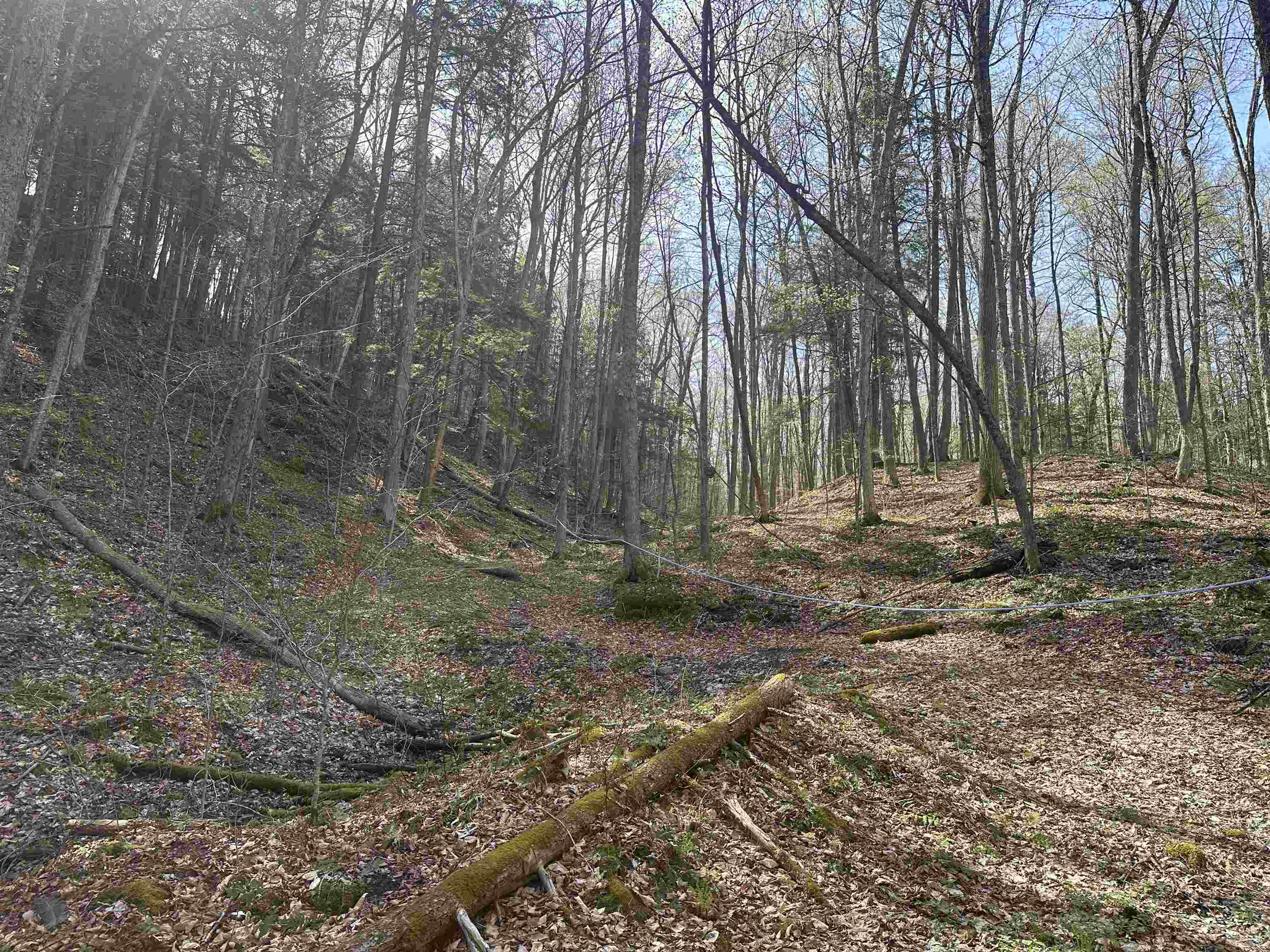 603 Anderson Drive Hubbardton, VT 05743 - Photo 38 of 60