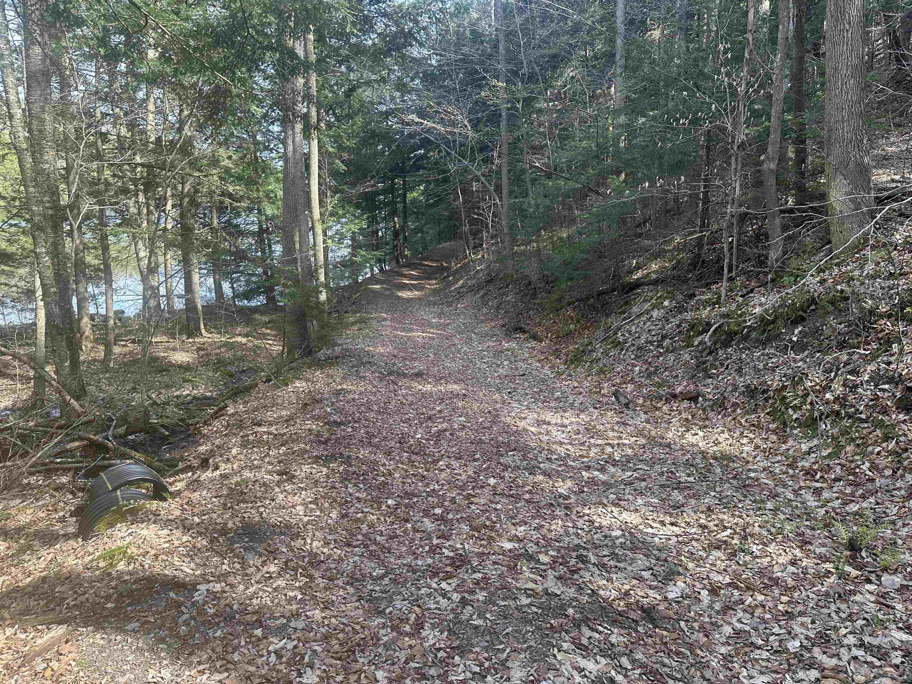 603 Anderson Drive Hubbardton, VT 05743 - Photo 39 of 60