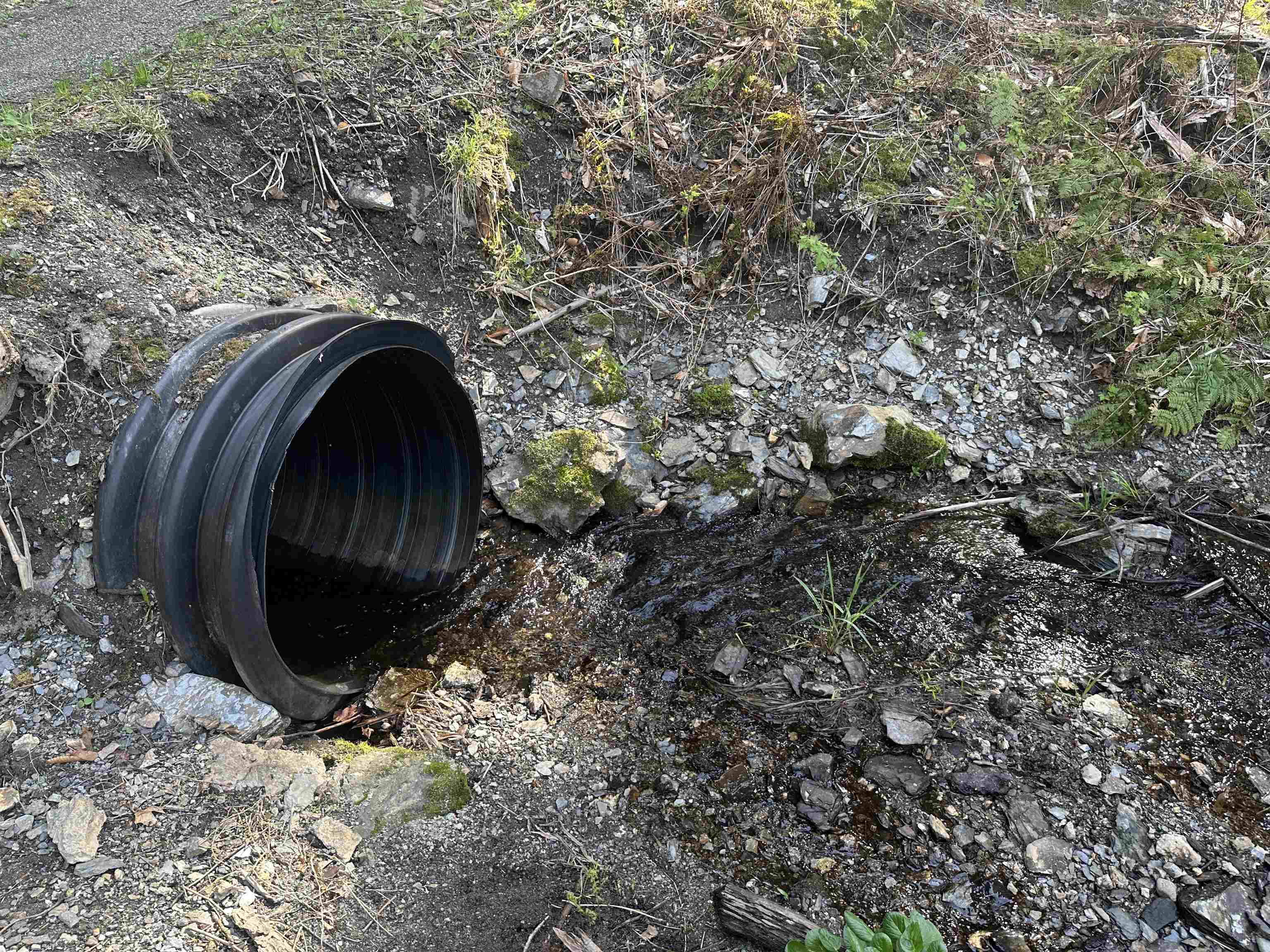 603 Anderson Drive Hubbardton, VT 05743 - Photo 40 of 60