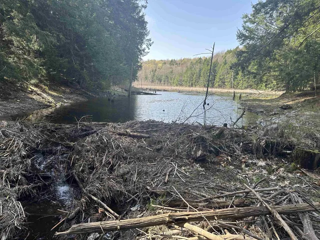 $750,000 | 603 Anderson Drive, Hubbardton, VT 05743